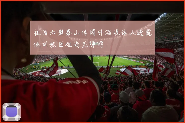 祖马加盟泰山传闻升温媒体人透露他训练困难尚无障碍
