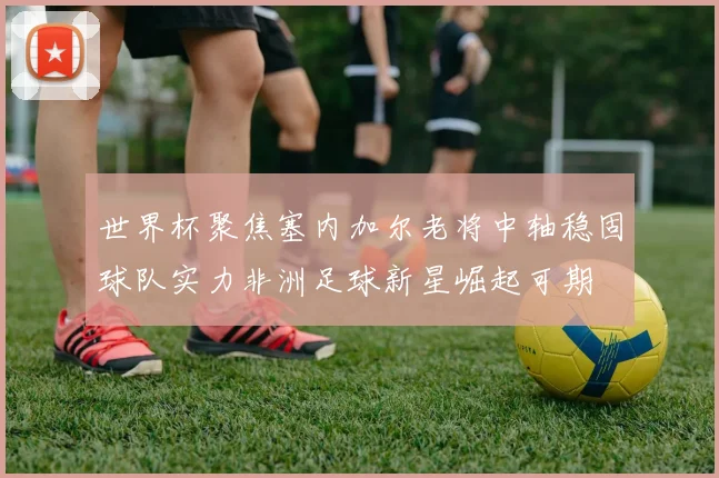 世界杯聚焦塞内加尔老将中轴稳固球队实力非洲足球新星崛起可期