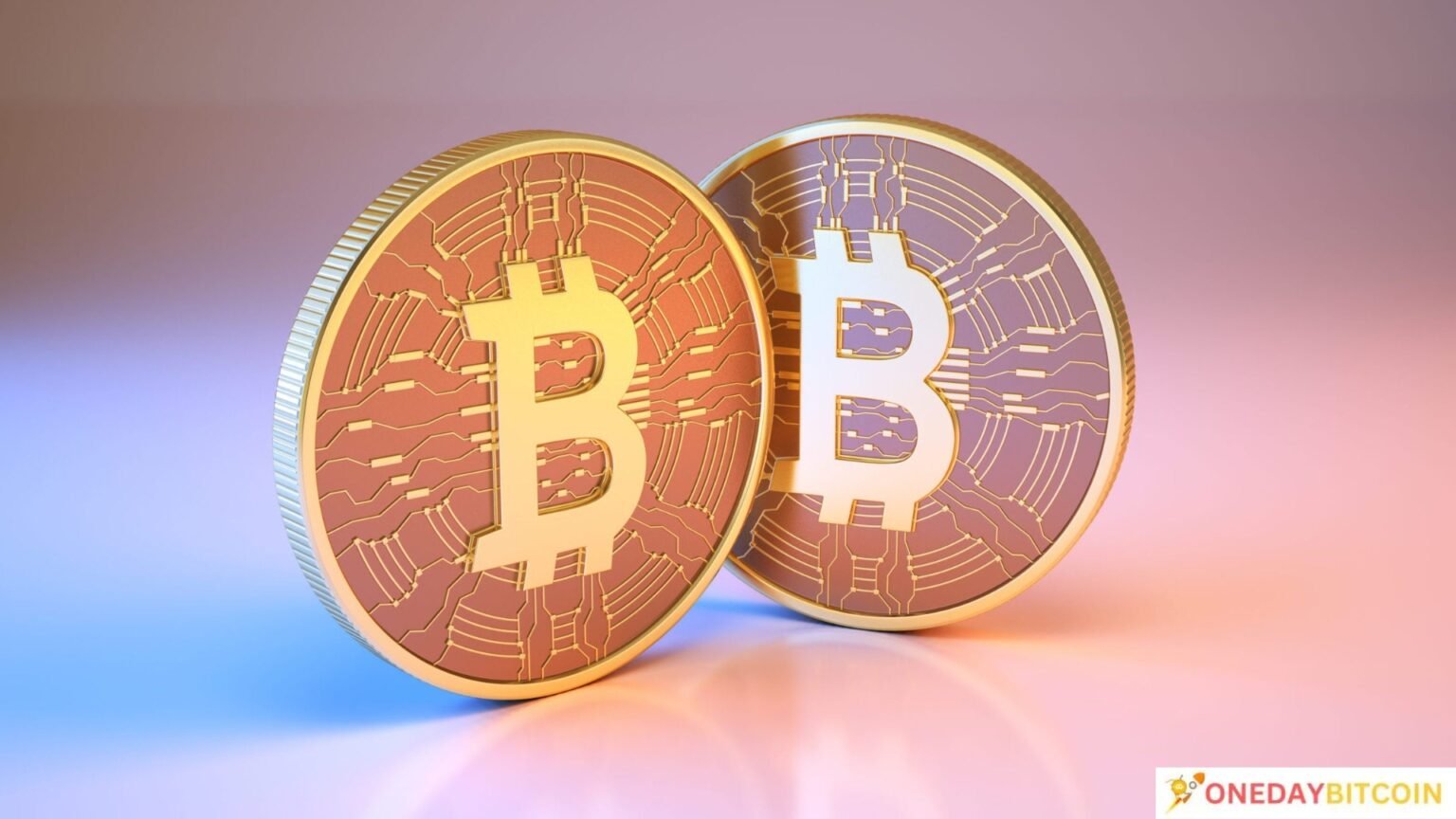 Small Investor Interest Revives Bitcoin Price Prediction: Bull Market