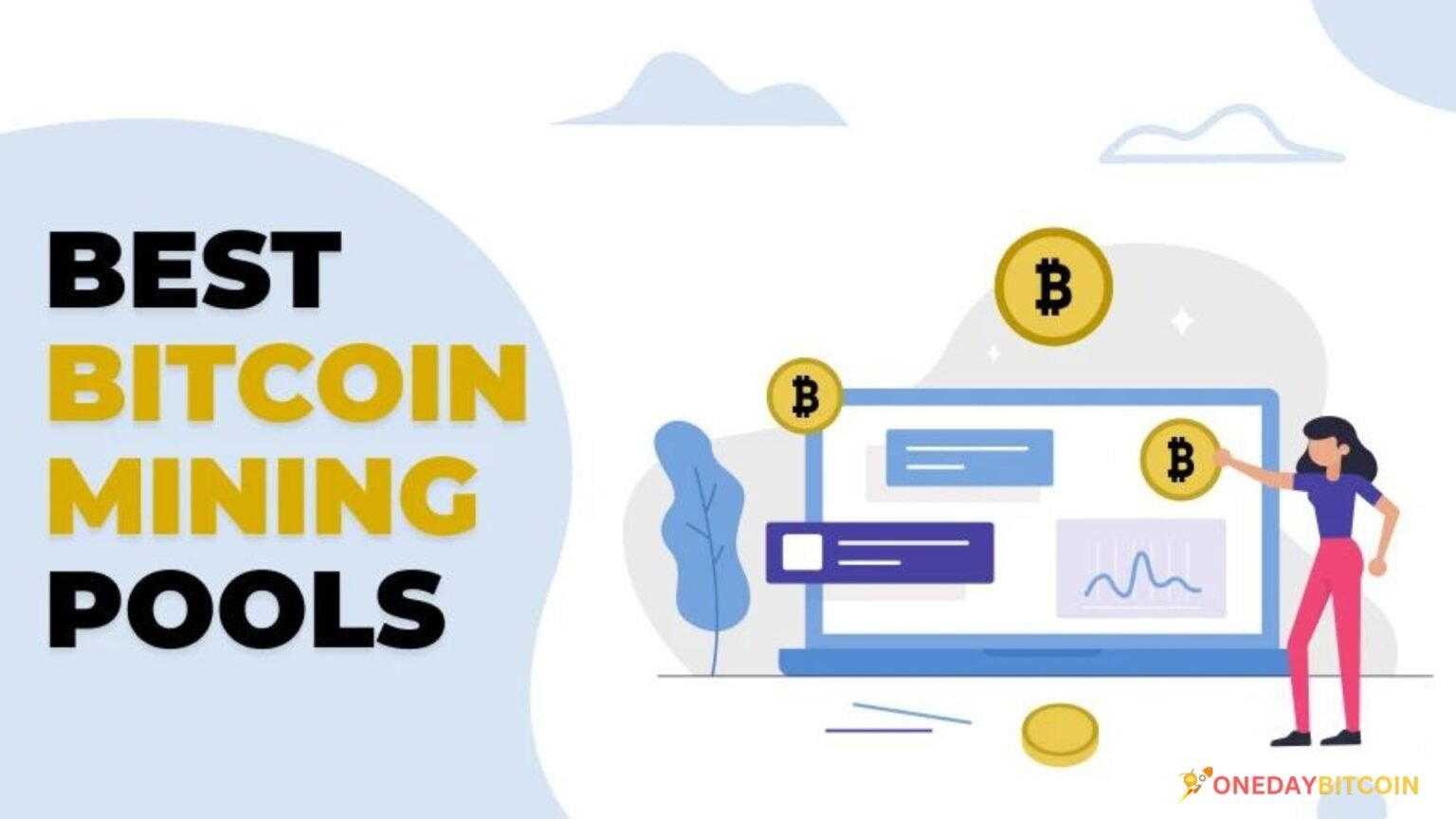 The Best Bitcoin Mining Pools in 2024: An Overview The Best Bitcoin Mining Pools in 2024: An Overview