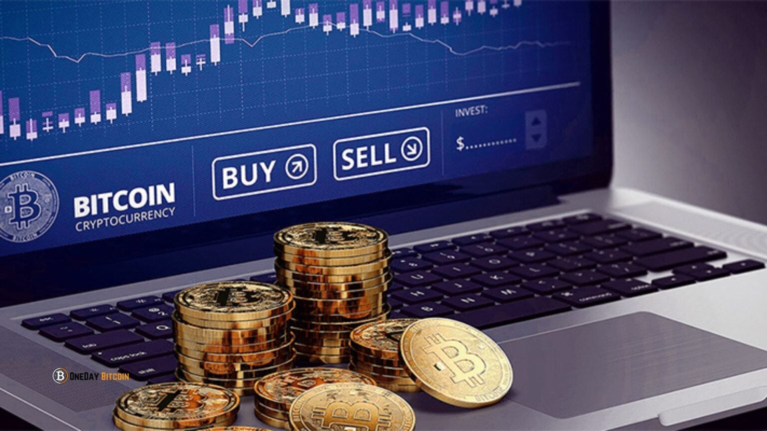 Apex Bitcoin Trading and Who Strategies for Market Dominance? Apex Bitcoin Trading