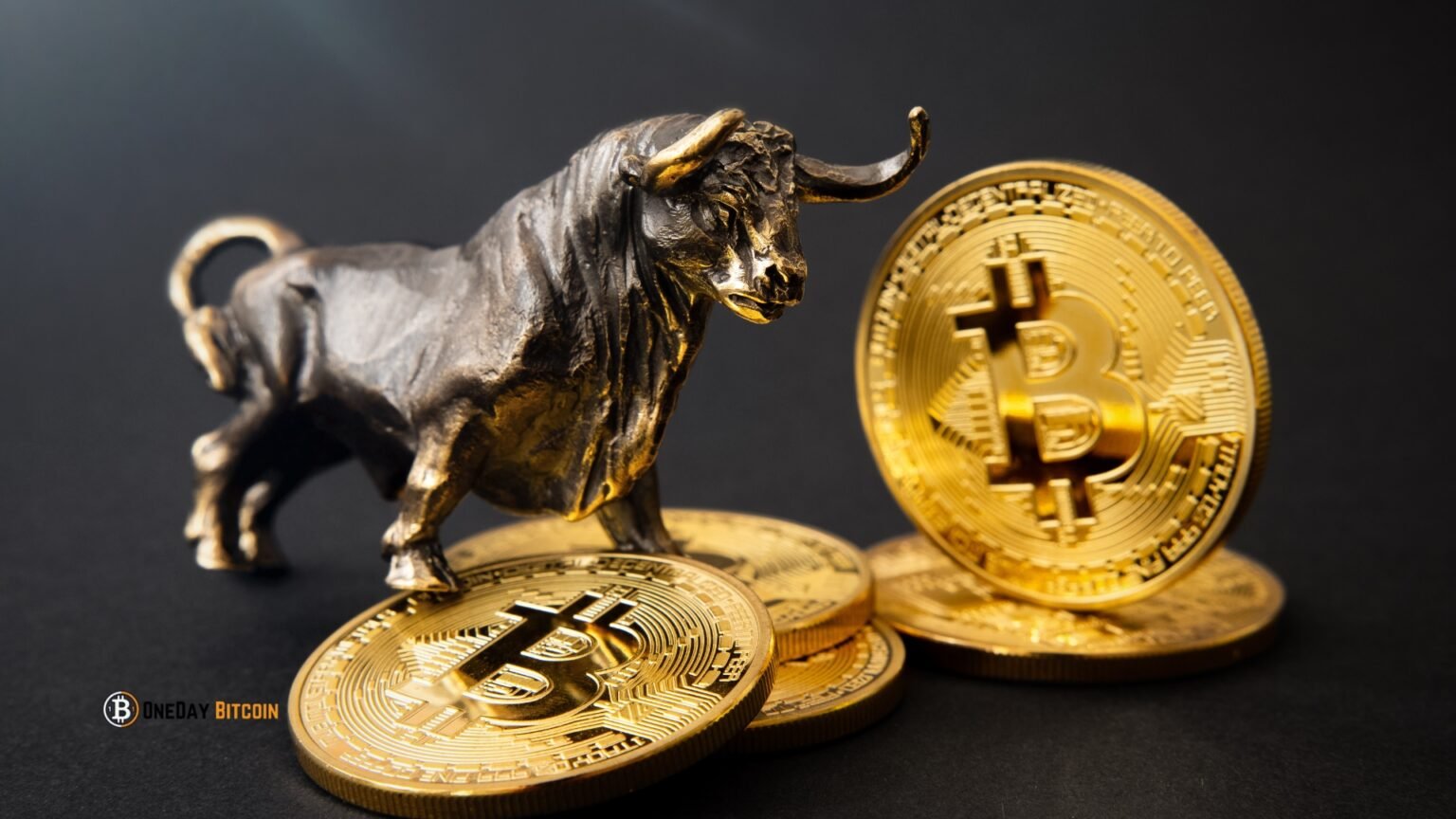 Retail Investors Missed The 2024 BTC Bull Run
