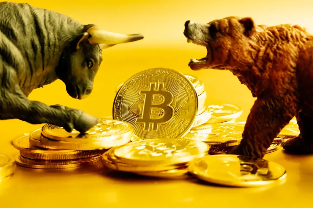 Bitcoin Bear Market