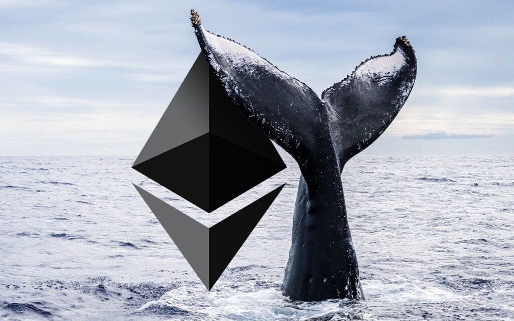 Whales and ETFs Drive Ethereum Growth