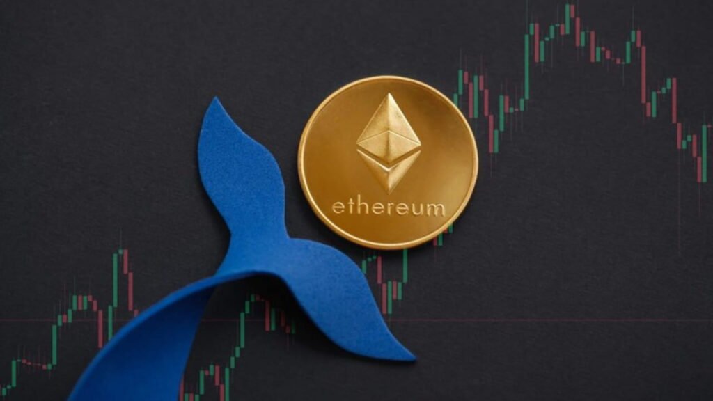 Ethereum Whale Accumulation Sparks Price Surge Hopes Ethereum whale accumulation